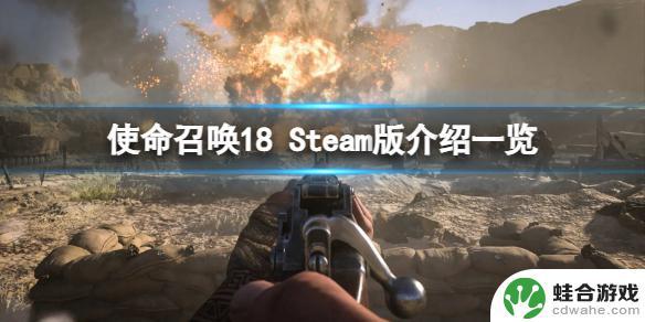 使命召唤18在steam里面多少钱