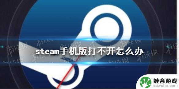 steam app 打不开