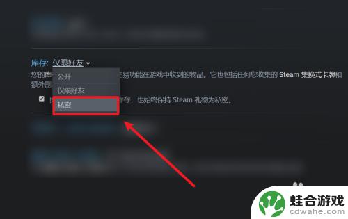 steam设置不让别人看库存