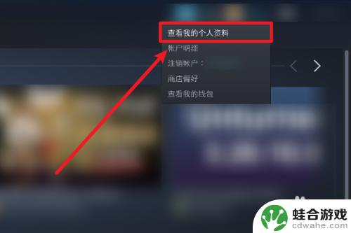 steam设置不让别人看库存