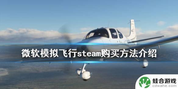 微软飞行模拟steam购买