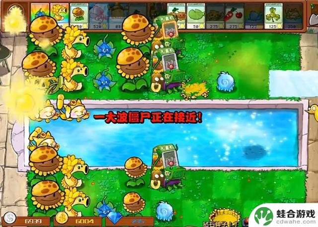 揭秘《植物大战僵尸》的作者：他用一株植物创造了一个宇宙！