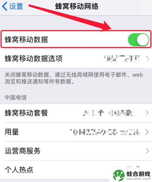 苹果手机怎么设置隐藏流量