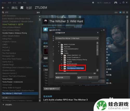 怎么玩拷贝的steam游戏吗