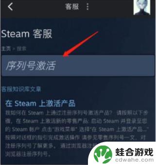 手机steam能激活cdk吗