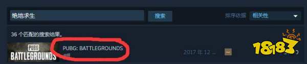 怎么在steam看pubg名字