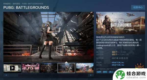 怎么在steam看pubg名字