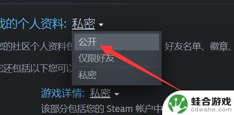 steam在哪公开个人资料