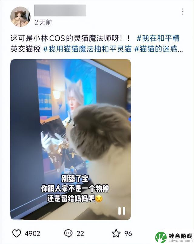《和平精英》在今年暑期引发了“赛博吸猫”狂潮