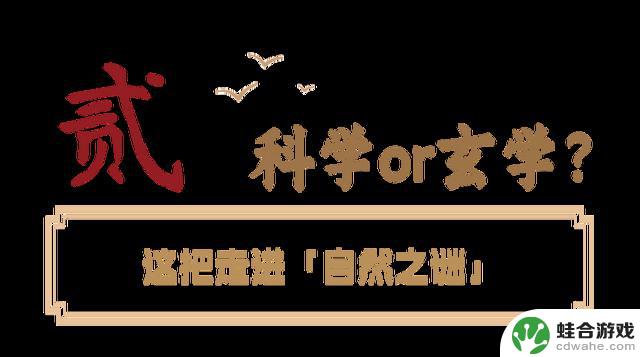 东湖非常规打野攻略：全网无代餐实测结果