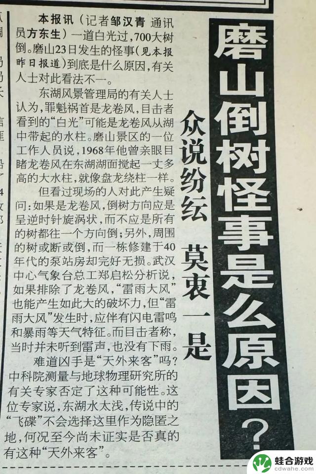 东湖非常规打野攻略：全网无代餐实测结果