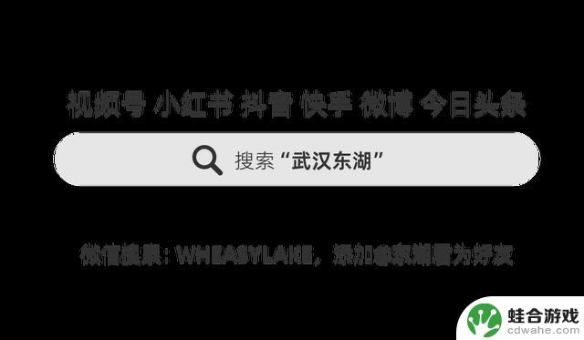 东湖非常规打野攻略：全网无代餐实测结果