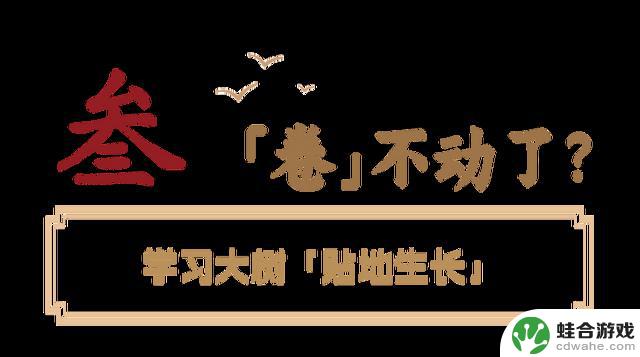 东湖非常规打野攻略：全网无代餐实测结果