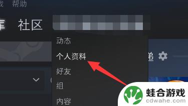 steam怎么公开个人资料和游戏详情