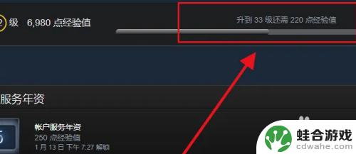 steam看等级