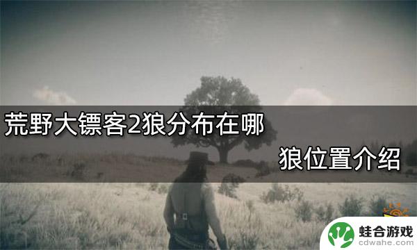 荒野大镖客2狼固定刷新