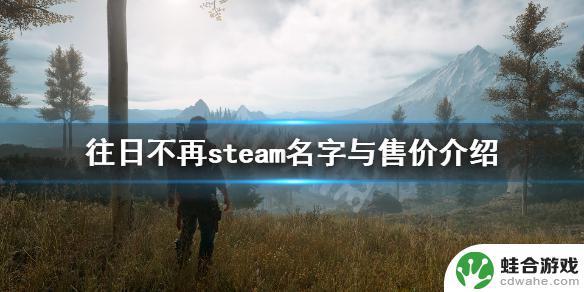 往日不再英文名steam