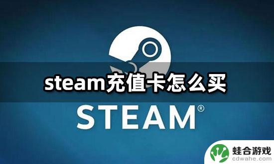 steam美元卡可充值区域