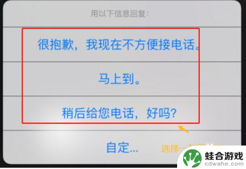 怎么设置上网不接电话苹果手机