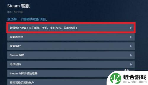 怎么查steam充值的账号