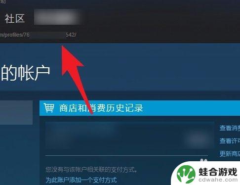 手机怎么查看steam17位id