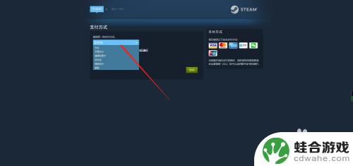 steam游戏付款