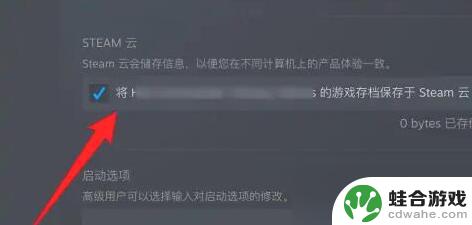 steam逆转裁判一直卡在读取存档