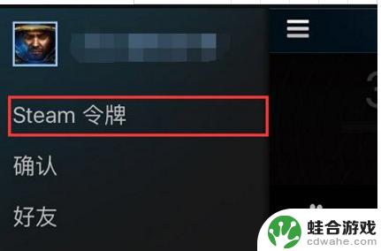 steam申请代码怎么输入密码