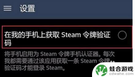 steam申请代码怎么输入密码