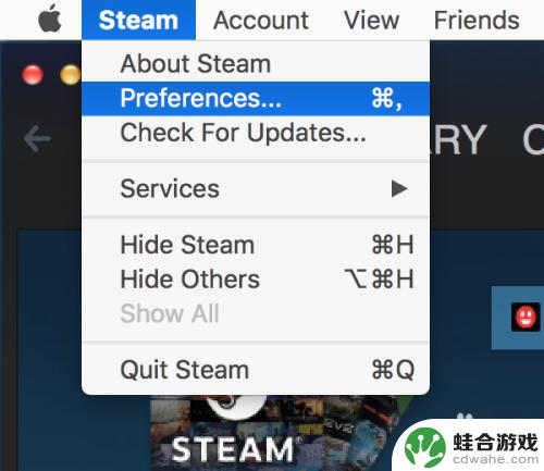 苹果电脑steam怎么设置中文