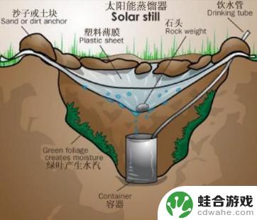 荒岛求生如何寻找水源地