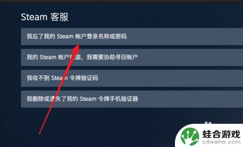 steam更改不了密码怎么办