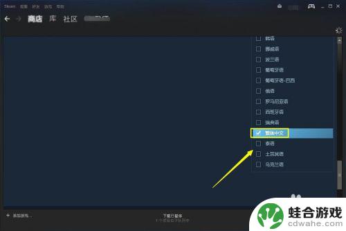 怎么在steam上找中文游戏