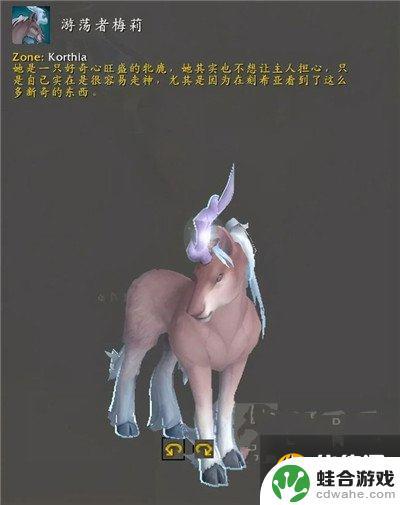 魔兽世界9.1飞行坐骑