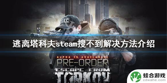 为什么steam搜不到逃离塔科夫