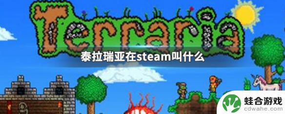 steam上的正版泰拉瑞亚是什么